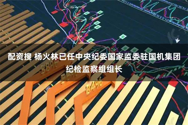 配资搜 杨火林已任中央纪委国家监委驻国机集团纪检监察组组长